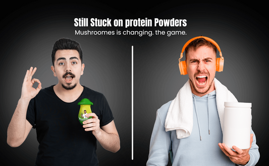 Still Stuck on Protein Powders? Mushroomex Is Changing the Game